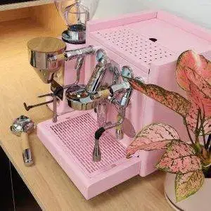 Custom Pink ECM Technika V Profi+ Mazzer Mini B Electronic
