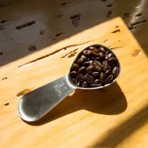 Planetary Design Coffee Scoop